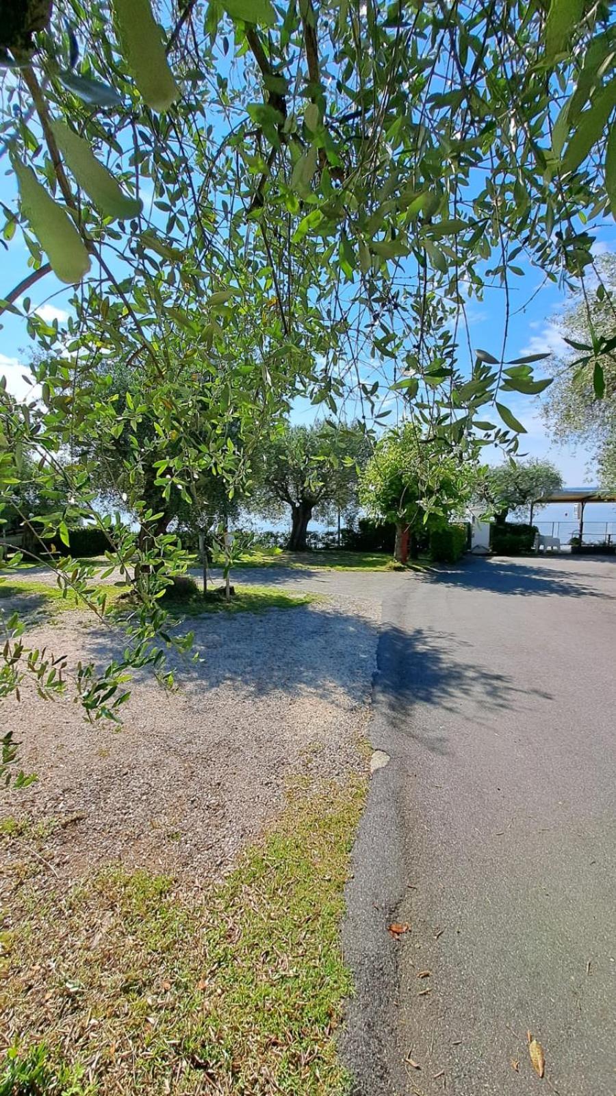Camping Porto Srl Moniga del Garda Екстер'єр фото