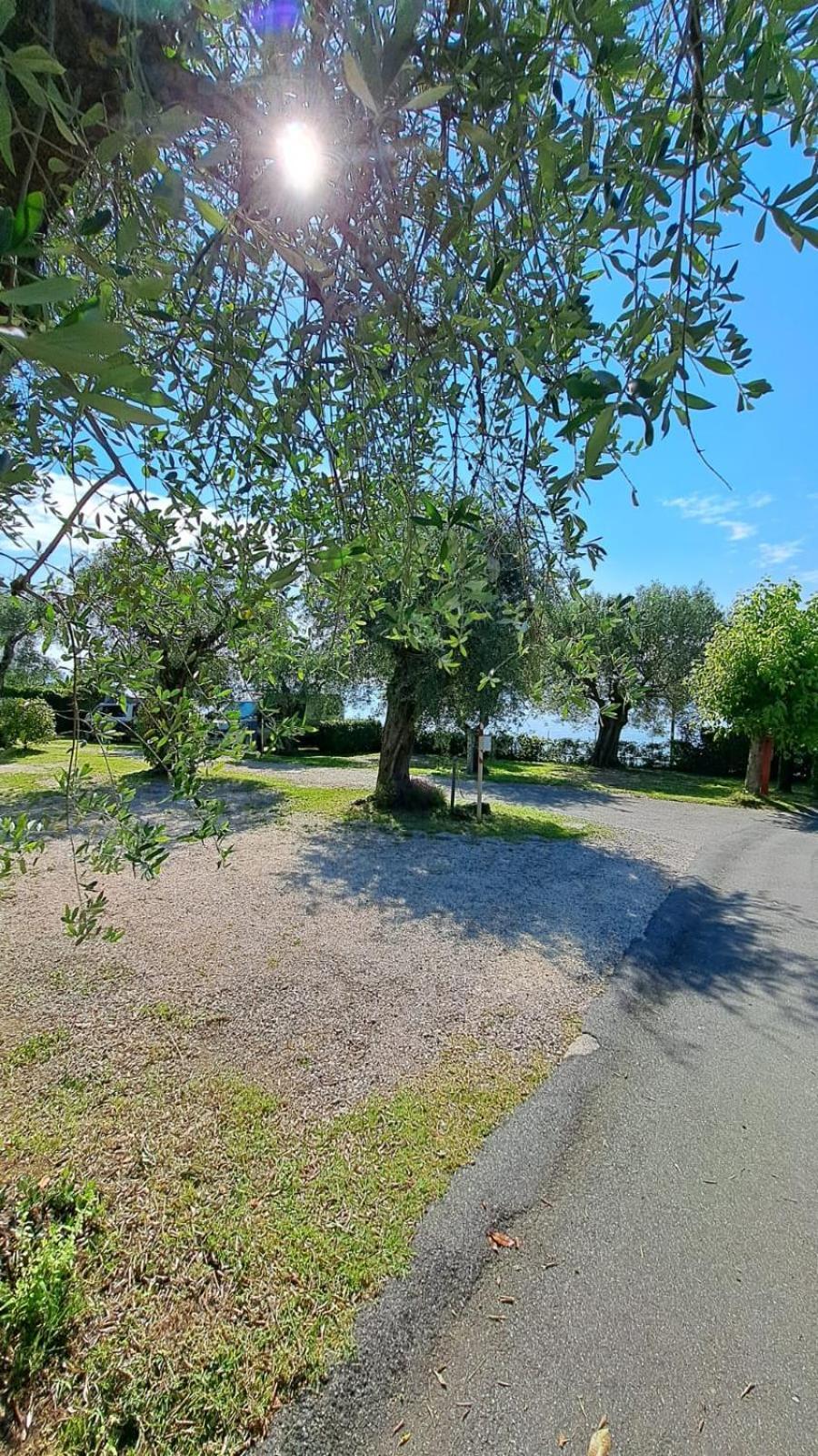 Camping Porto Srl Moniga del Garda Екстер'єр фото
