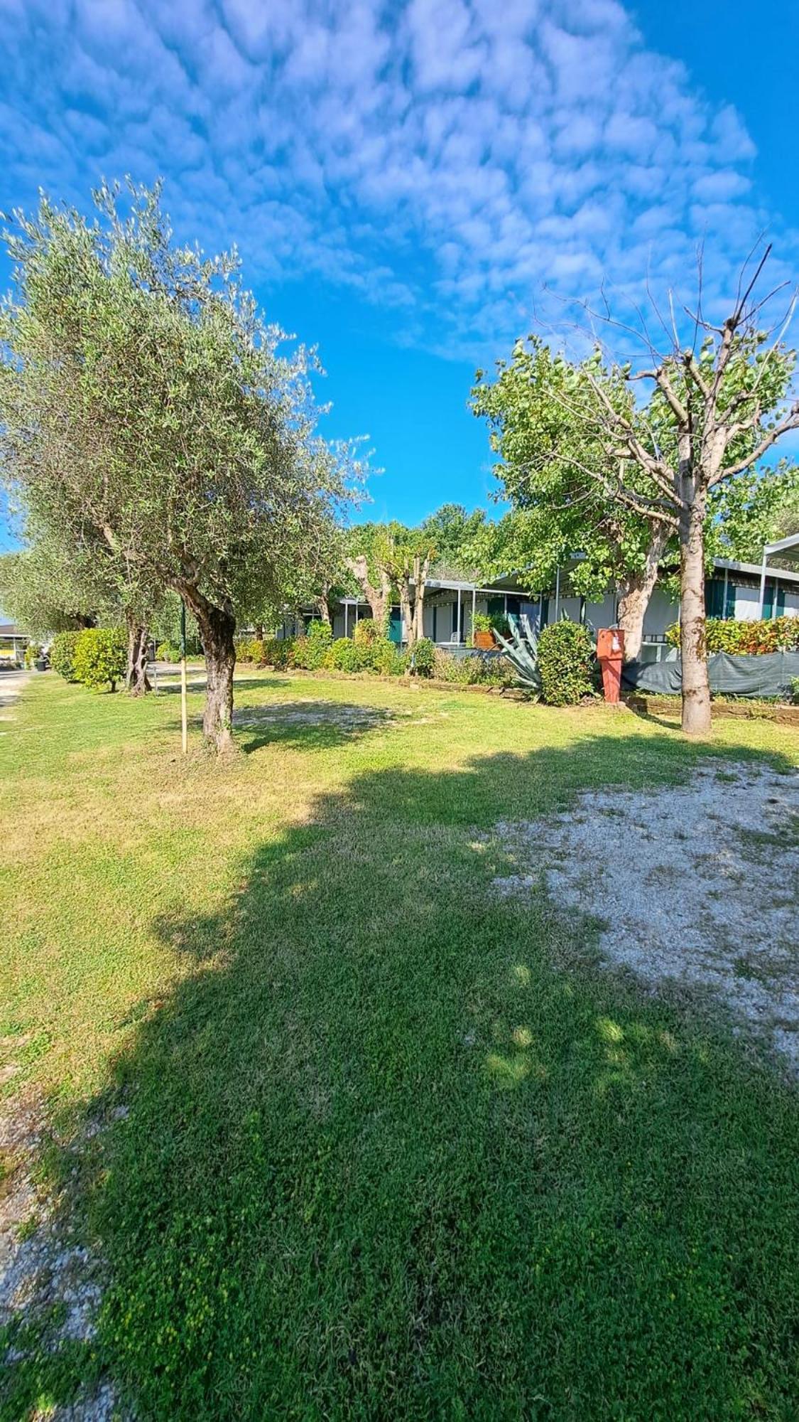 Camping Porto Srl Moniga del Garda Екстер'єр фото