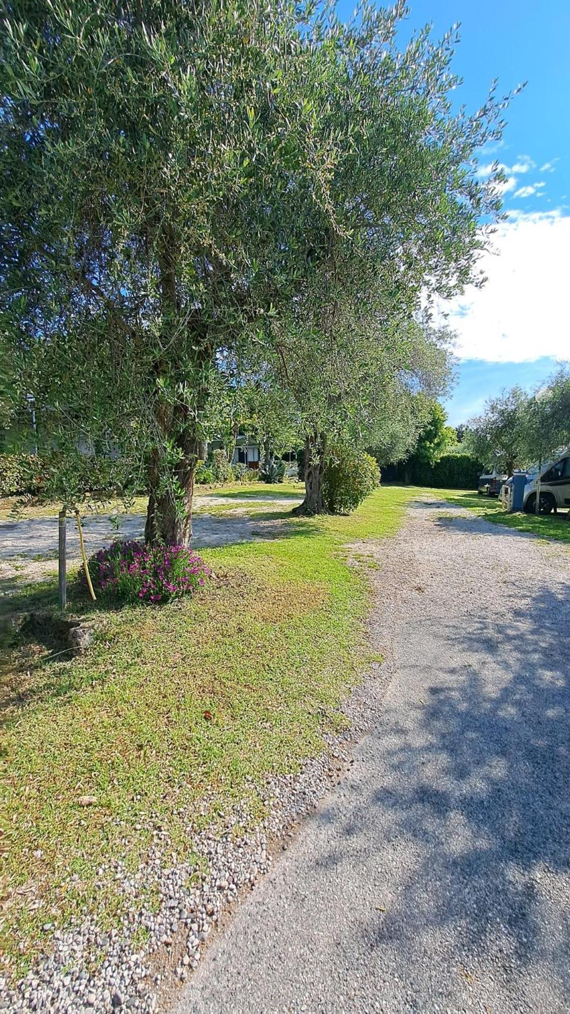 Camping Porto Srl Moniga del Garda Екстер'єр фото